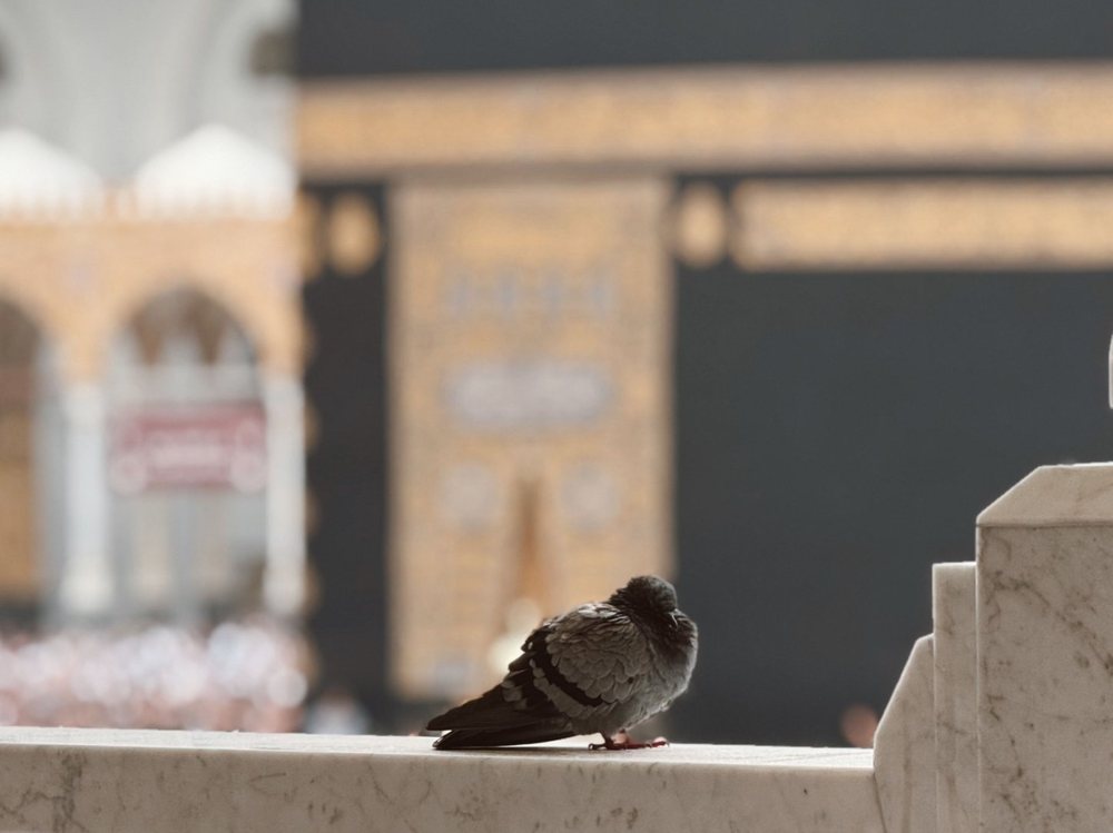 فنادق مكة المكرمة